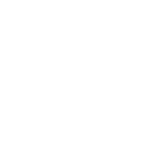 Vdreamzapparel 